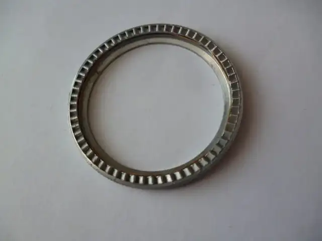 odding-amphibia-into-unidirectional-bezel-p1010040.webp