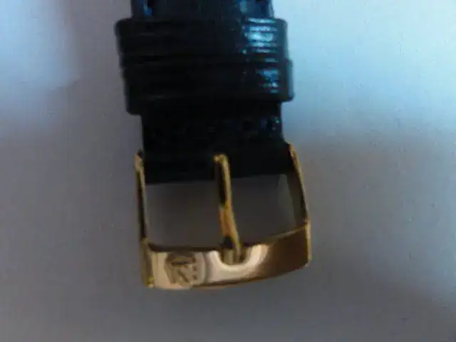 ogvSbQfp_o.webp