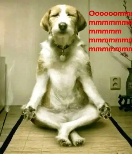 ohmm.webp
