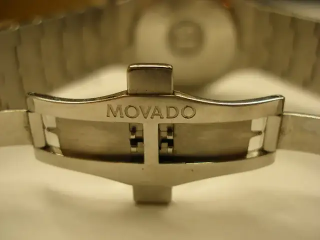 OLYMPUS-DIGITAL-CAMERA.webp