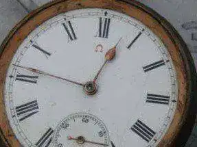Omega 1.webp
