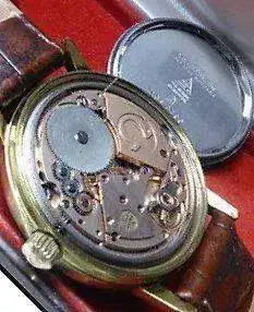 Omega 2 (2).webp