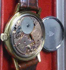 Omega 2 (3).webp