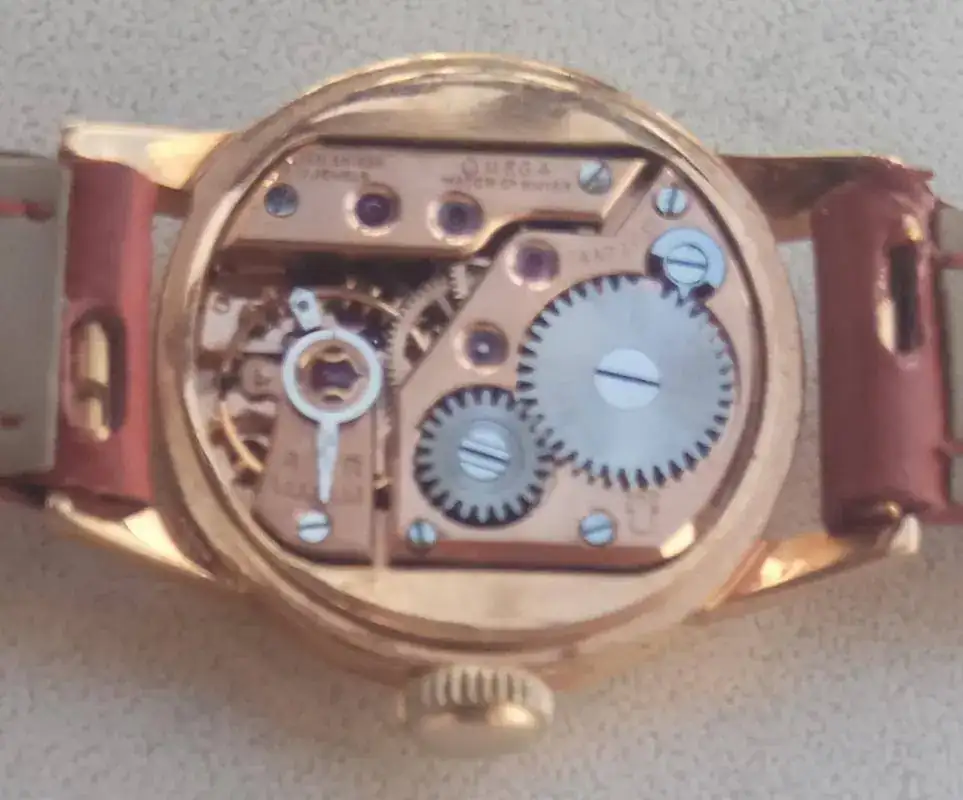 OMEGA 244 FOTO 9.webp