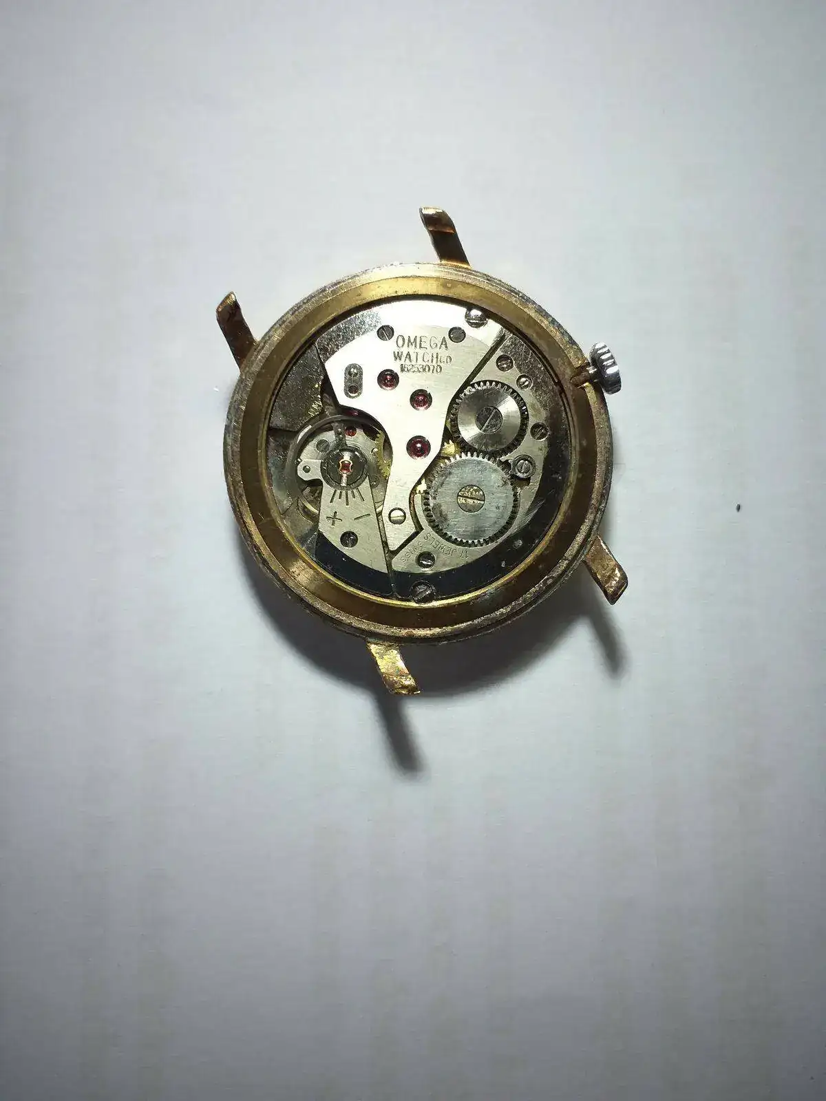 OMEGA (3).webp