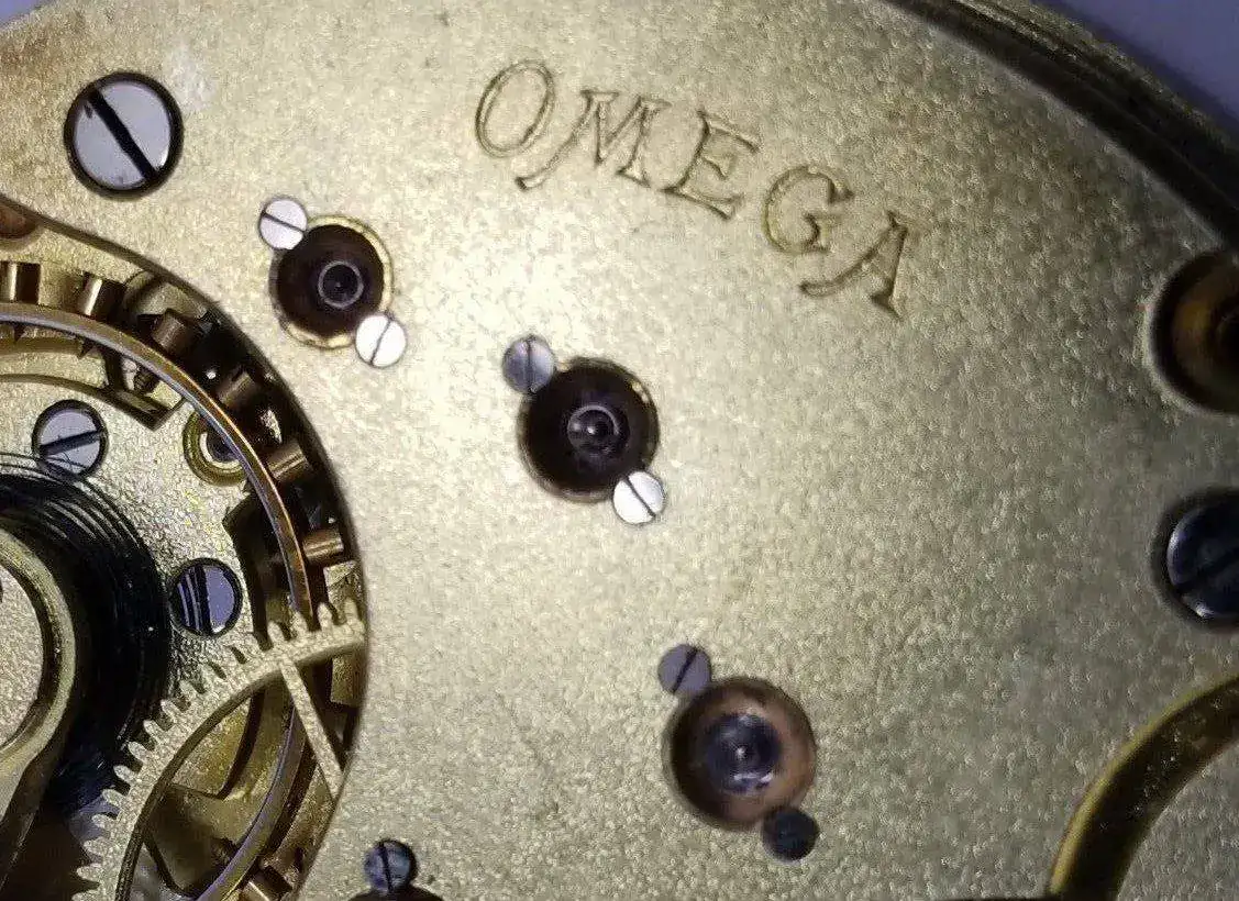 Omega 4.webp
