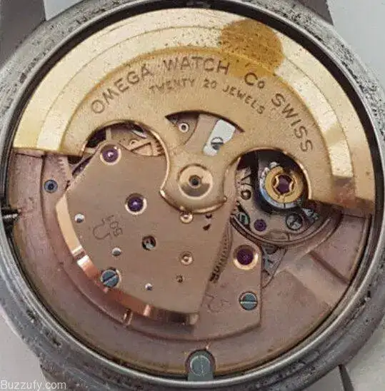 omega-501.webp