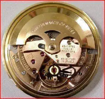 omega-560.webp