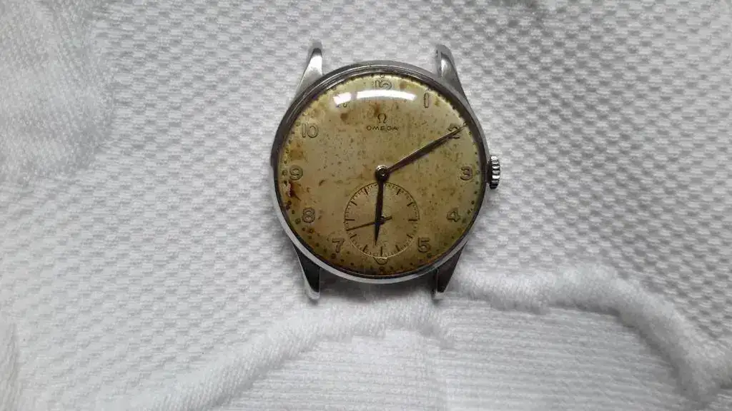 omega abuelo1.webp