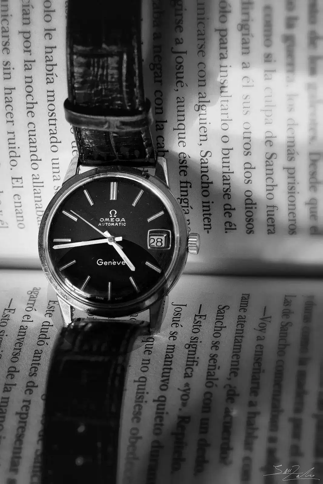 omega-bn.webp