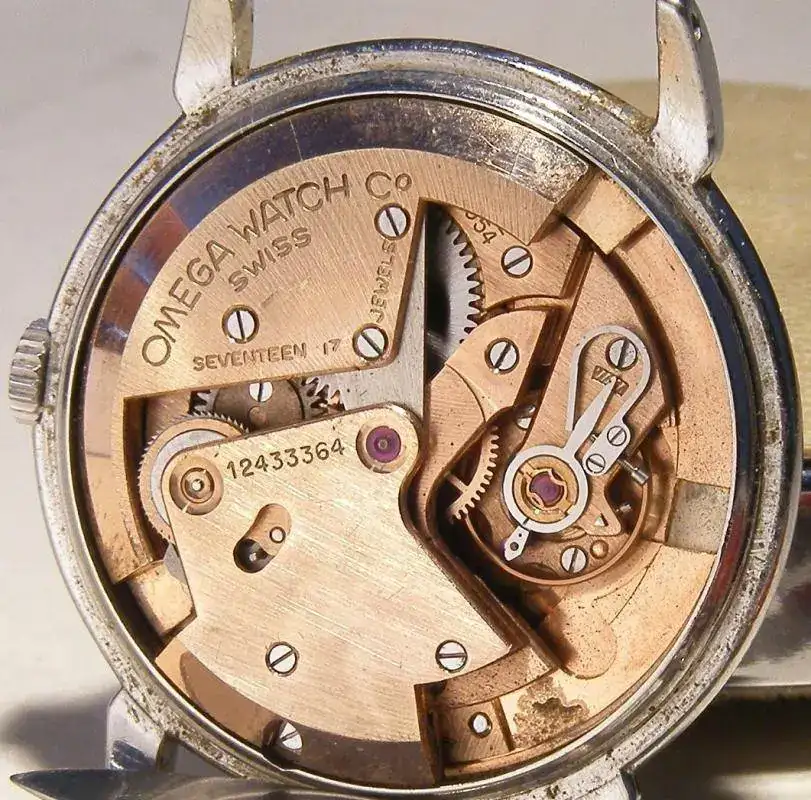 omega-bumper 032.webp