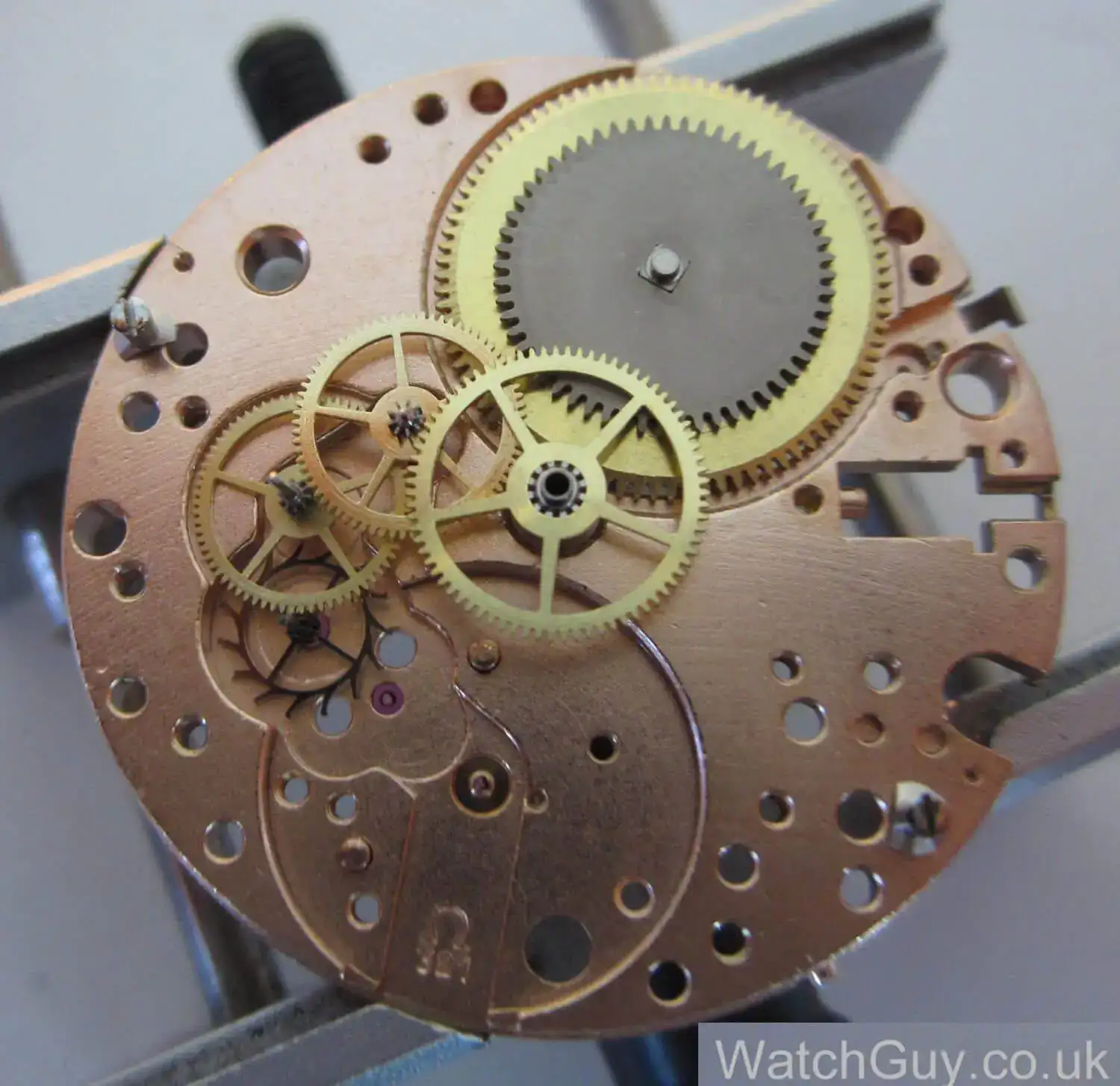 Omega-Cal-321-2.webp