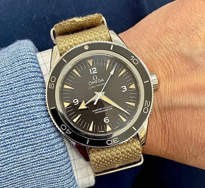 Omega Diver Master 300 Heritage.webp