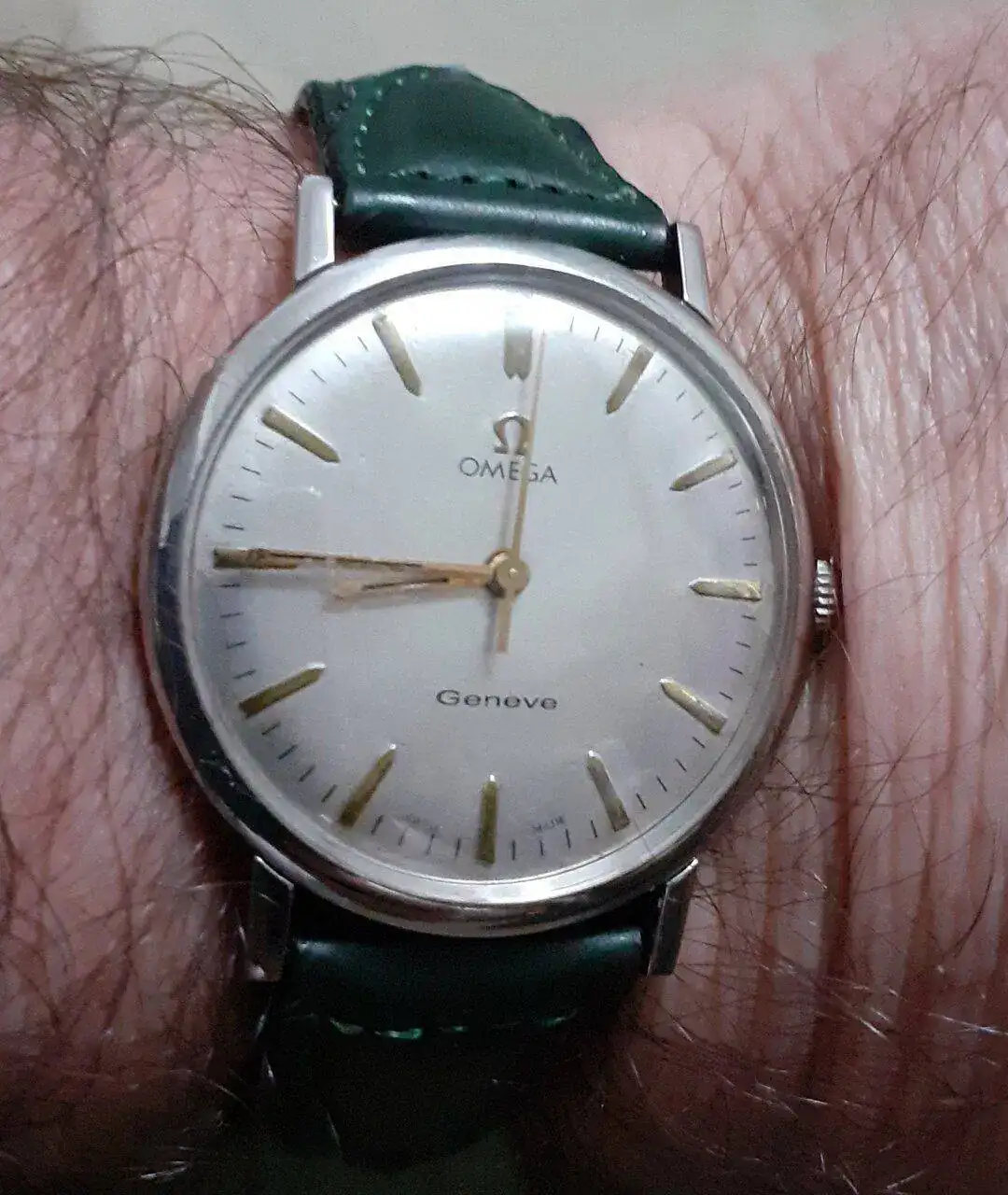 omega hoy.webp