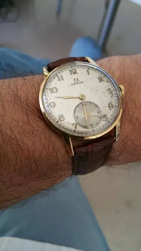 omega hoy.webp