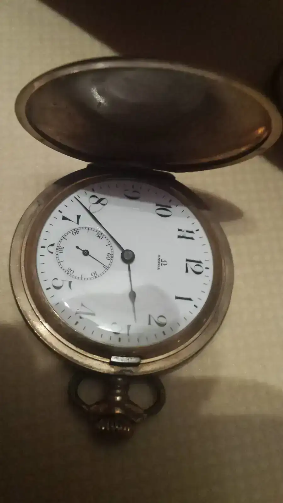 omega pocket oro.webp