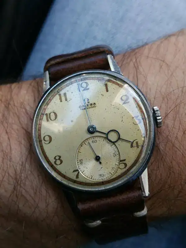 omega pontife.webp
