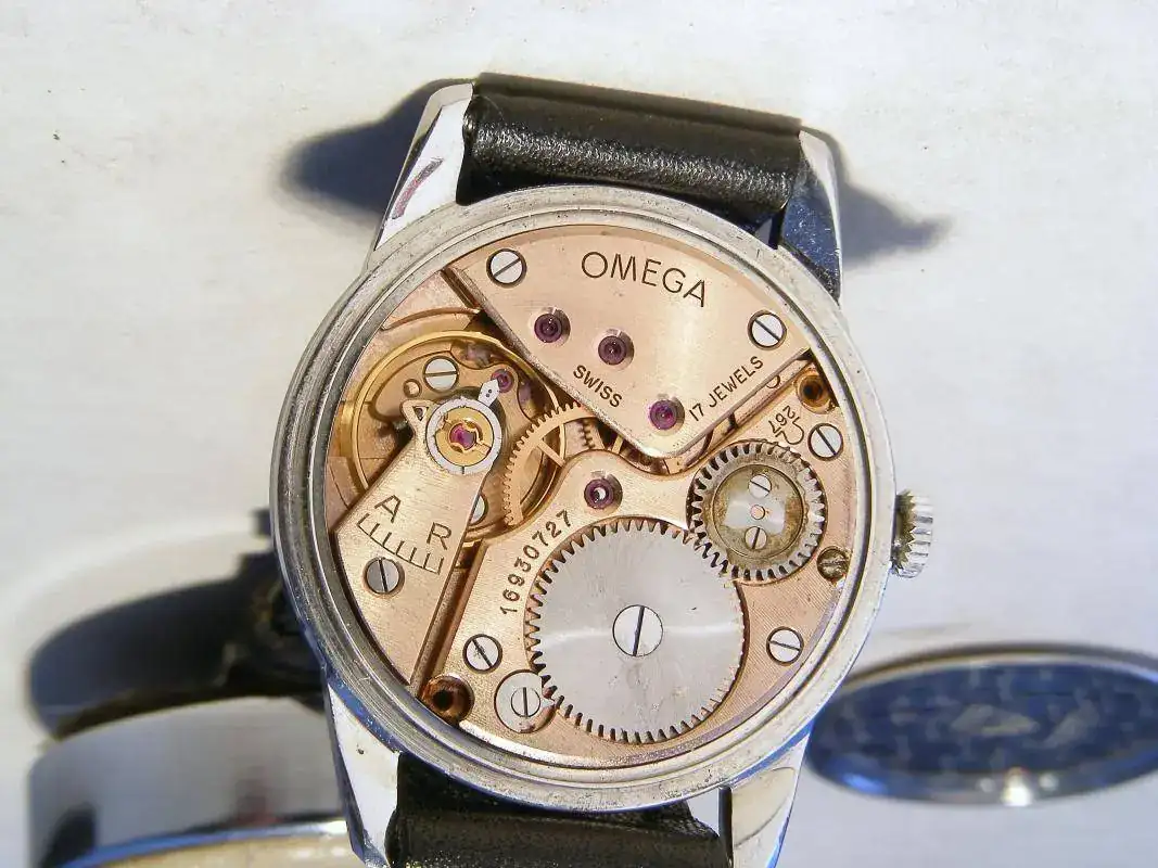 omega-ranchero 007.webp