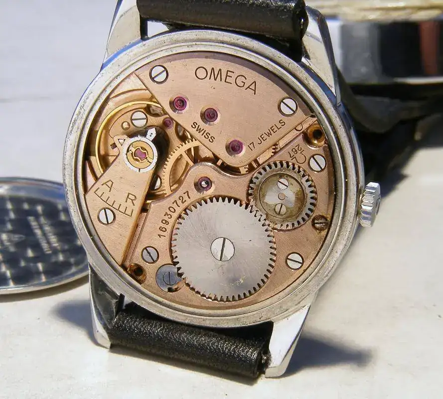 omega-ranchero 010.webp