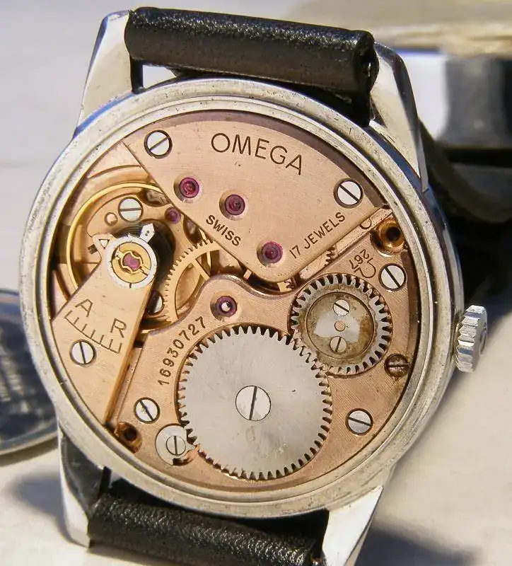 omega-ranchero 011.webp