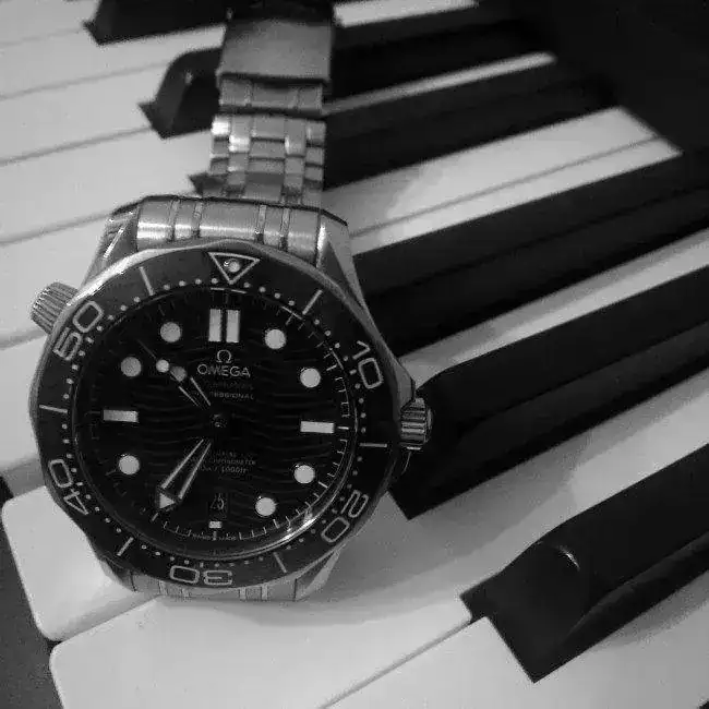 OMEGA ROLAND 001.jpg