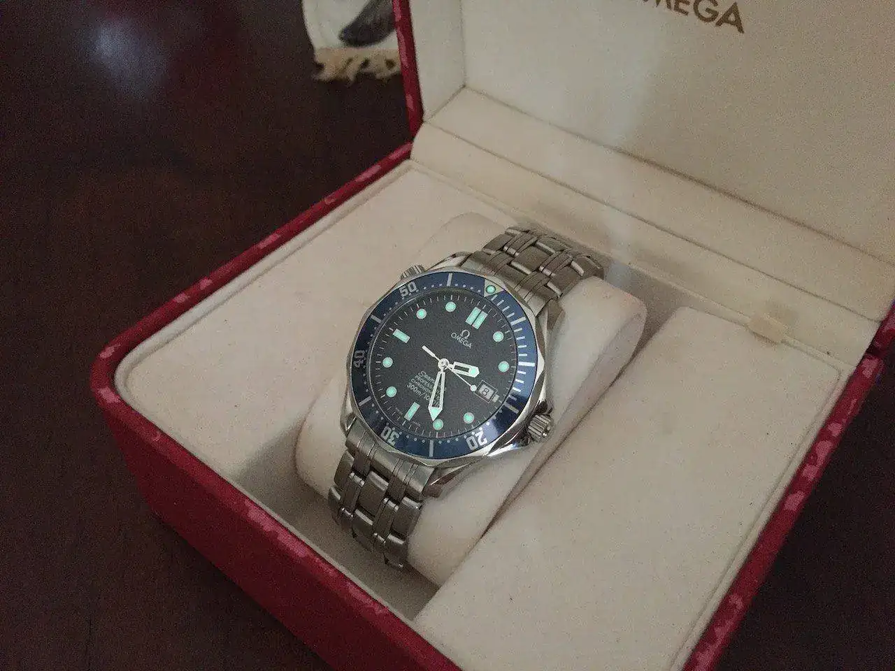 Omega-Seamaster-Professional-ref.-2531.80.00-14.webp