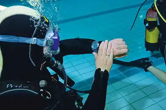 Omega-Seamaster_PO_diver_560.webp