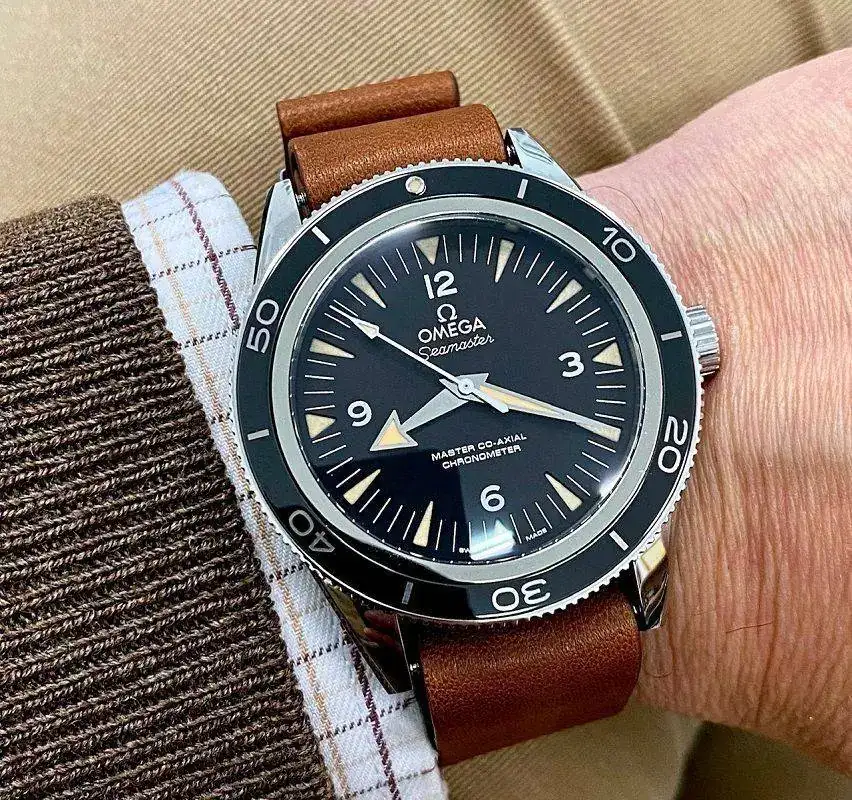 Omega Semaster 300M Master.webp