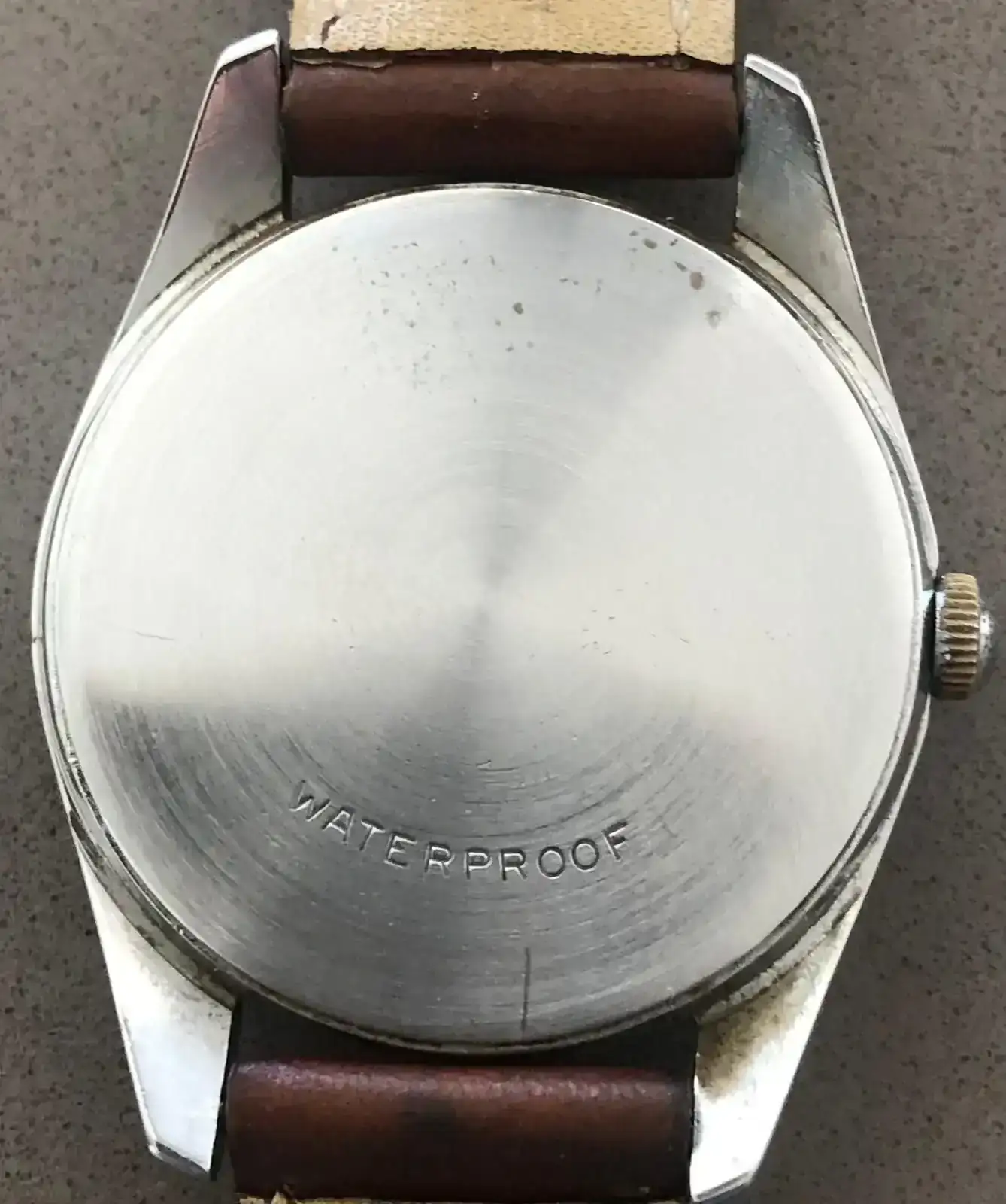 Omega trasera.webp