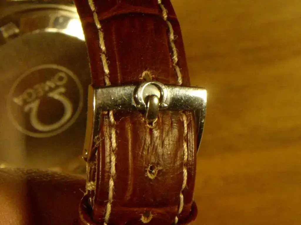 Omega uñeca 009.webp