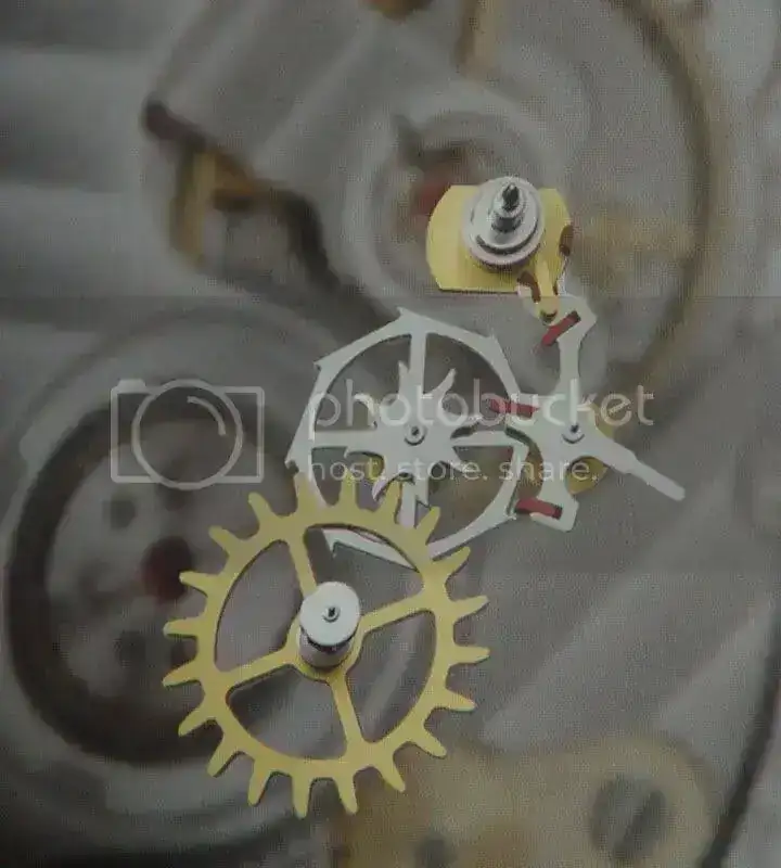 OMEGA1.webp