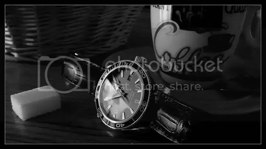 Omega12.webp