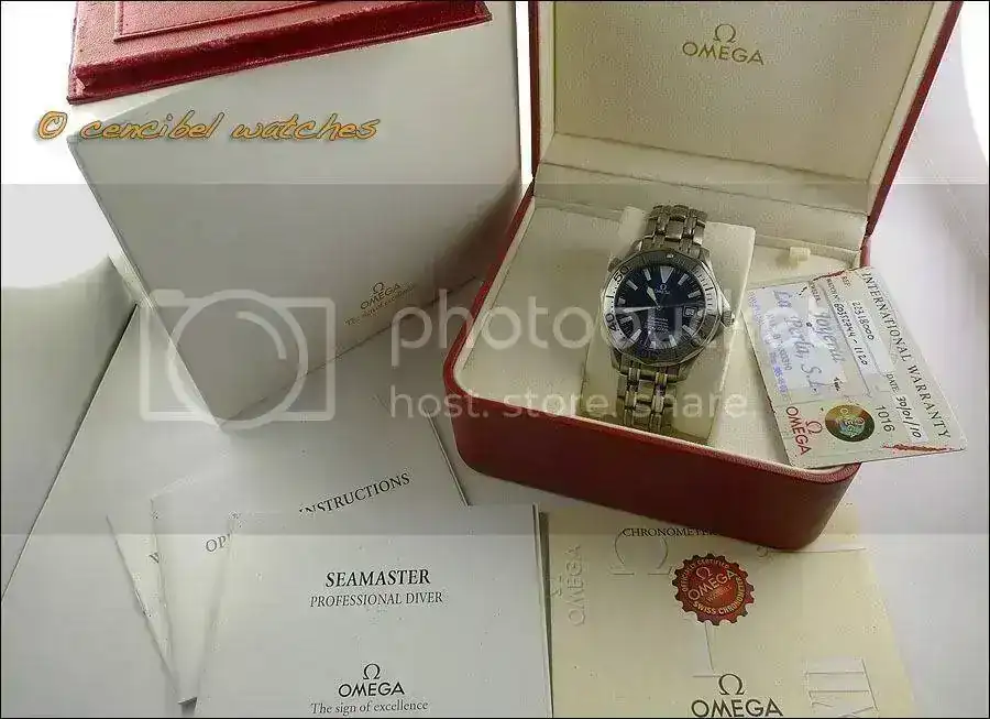 Omega22318000foto1.webp