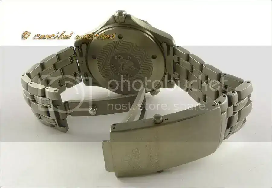 Omega22318000foto8.webp