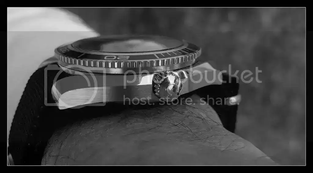 Omega85.webp