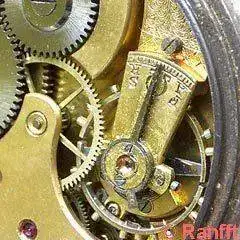Omega_19-2.webp