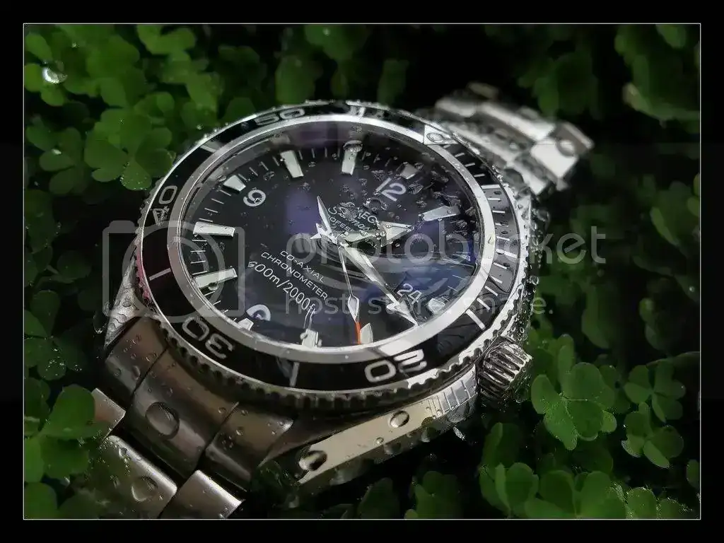Omega_color42.webp