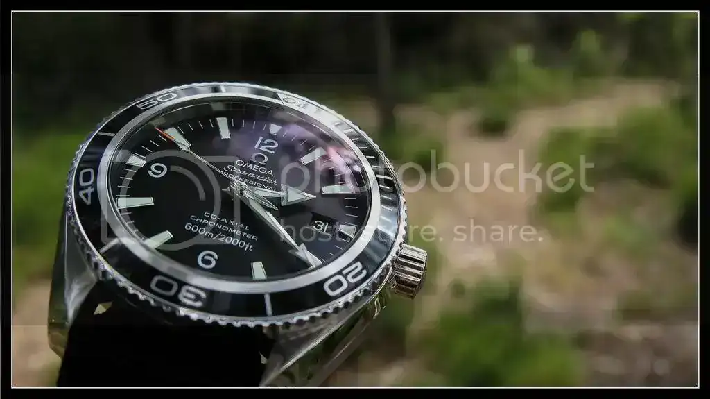 Omega_color61.webp