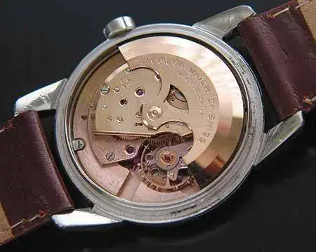 omega_image.3276283.webp