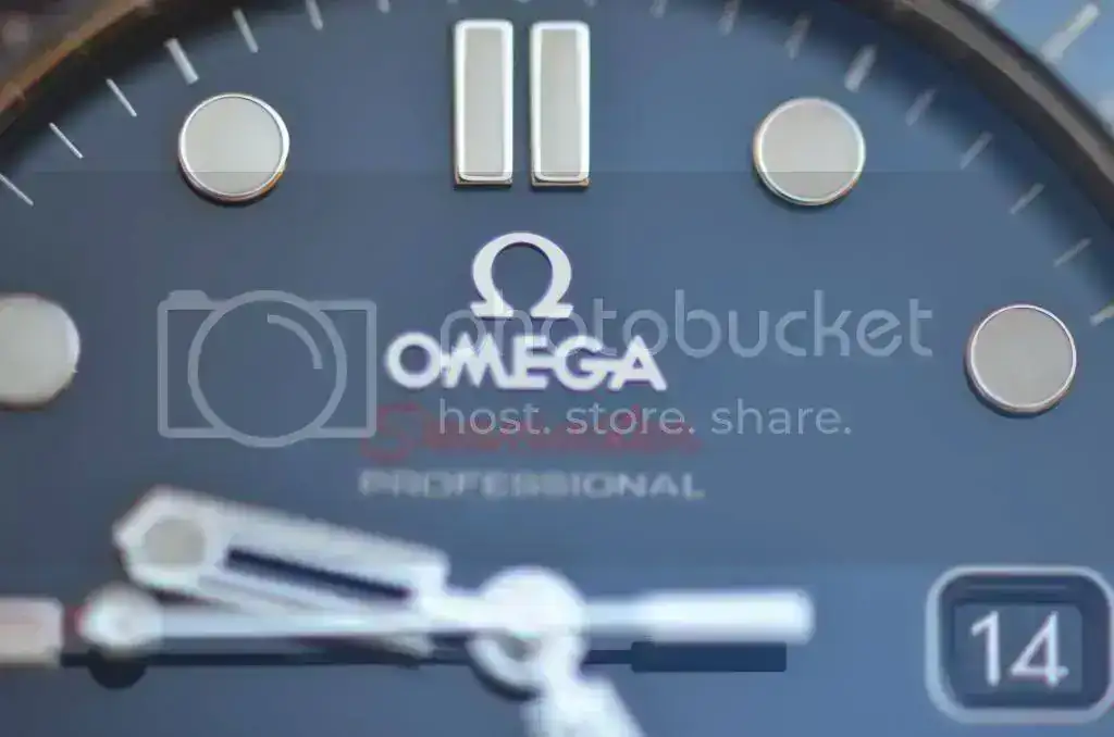 OmegaSeamaster300022_zpsbe506cce.webp
