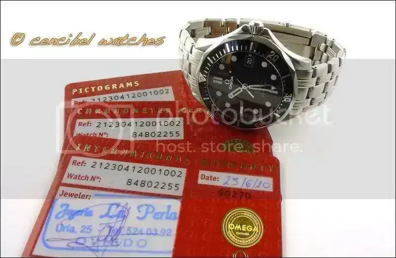 OmegaSeamaster300negrofoto1.webp