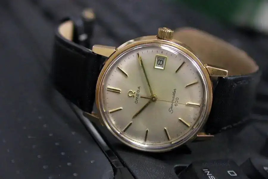 OmegaSeamaster600.webp