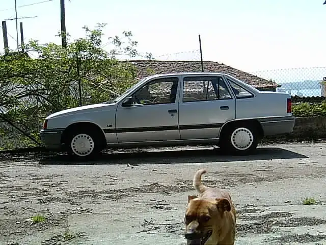 opel kadett 17 d.webp