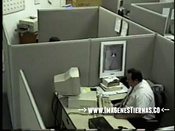ordenador.gif