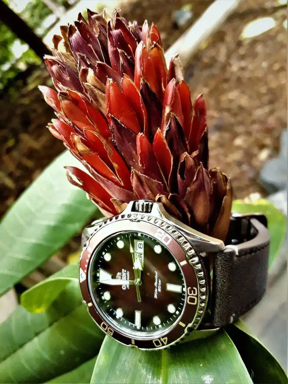Orient 100  in red.webp