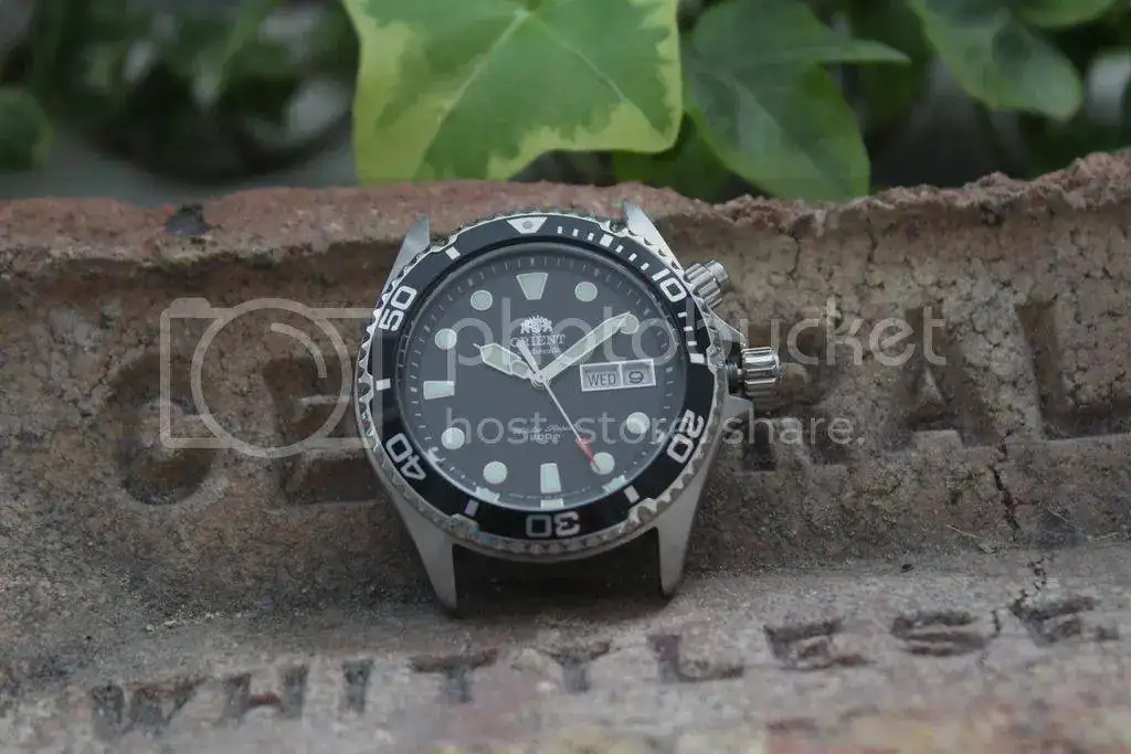Orient%20RAY%2013_zpsk5p3tntb.webp
