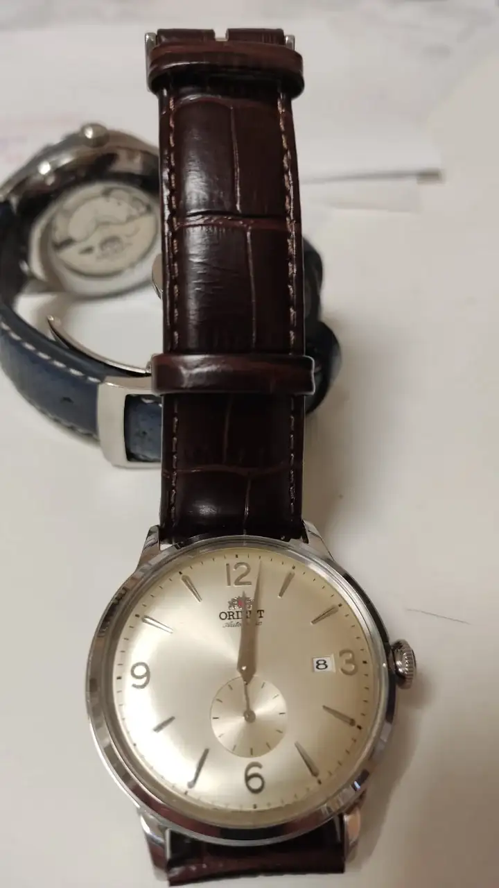 Orient Bambino.webp