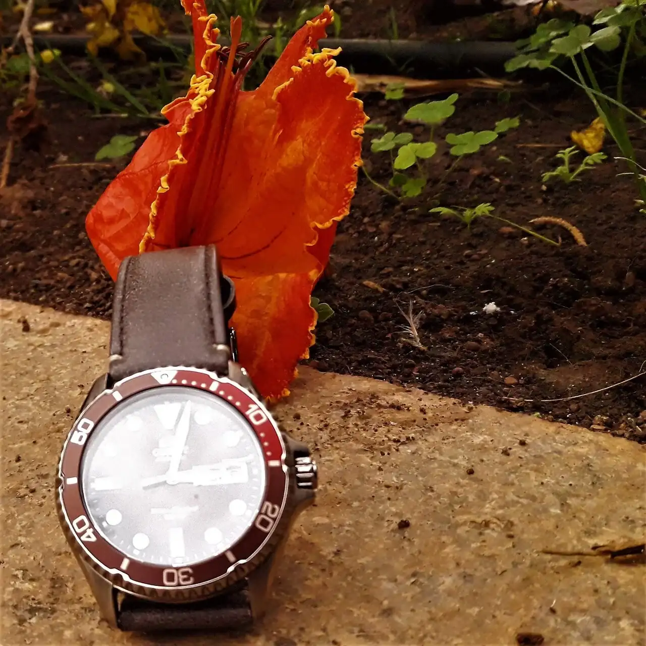 Orient en duelo por flor caída.webp