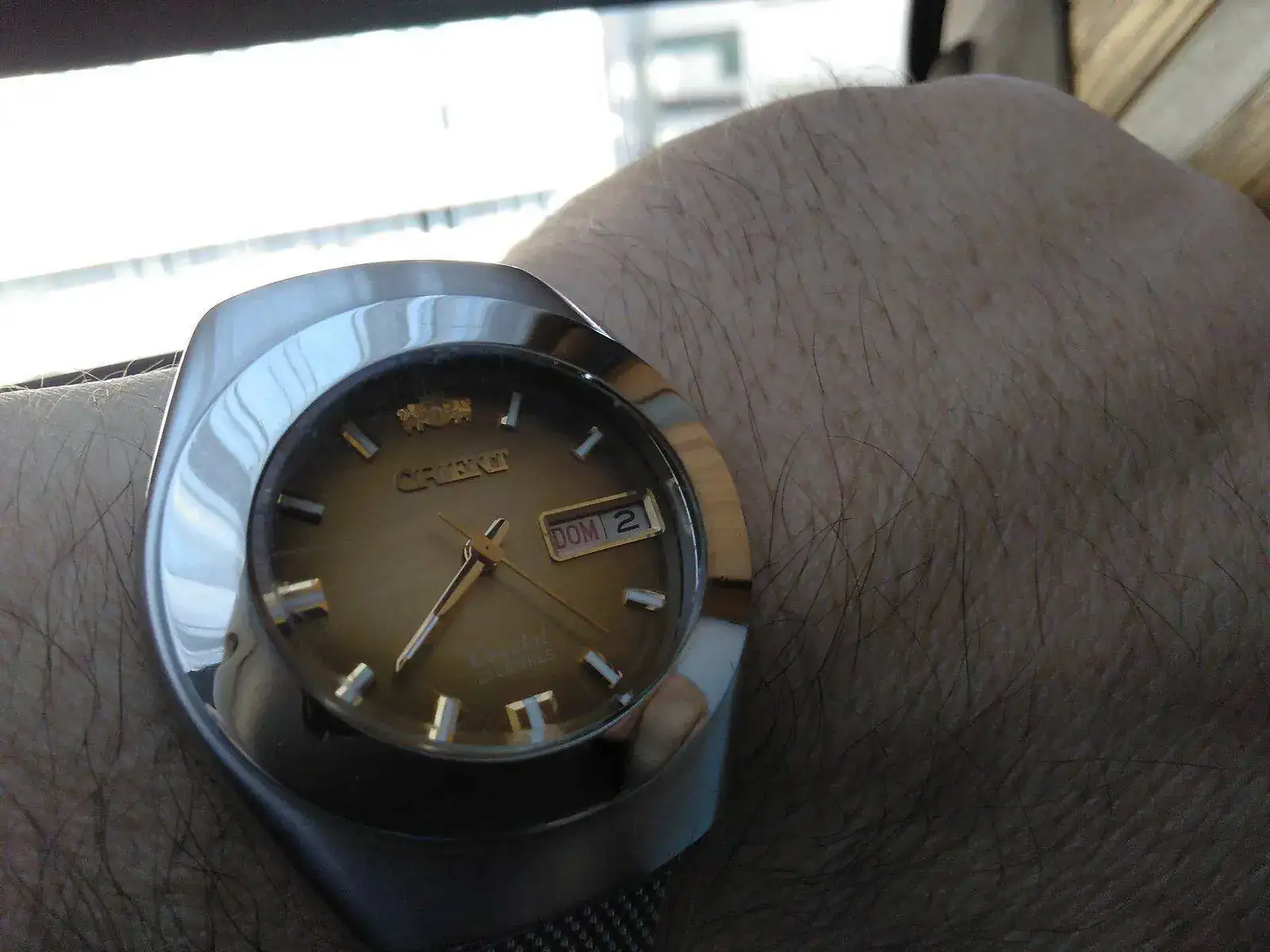 Orient Focus (81).webp