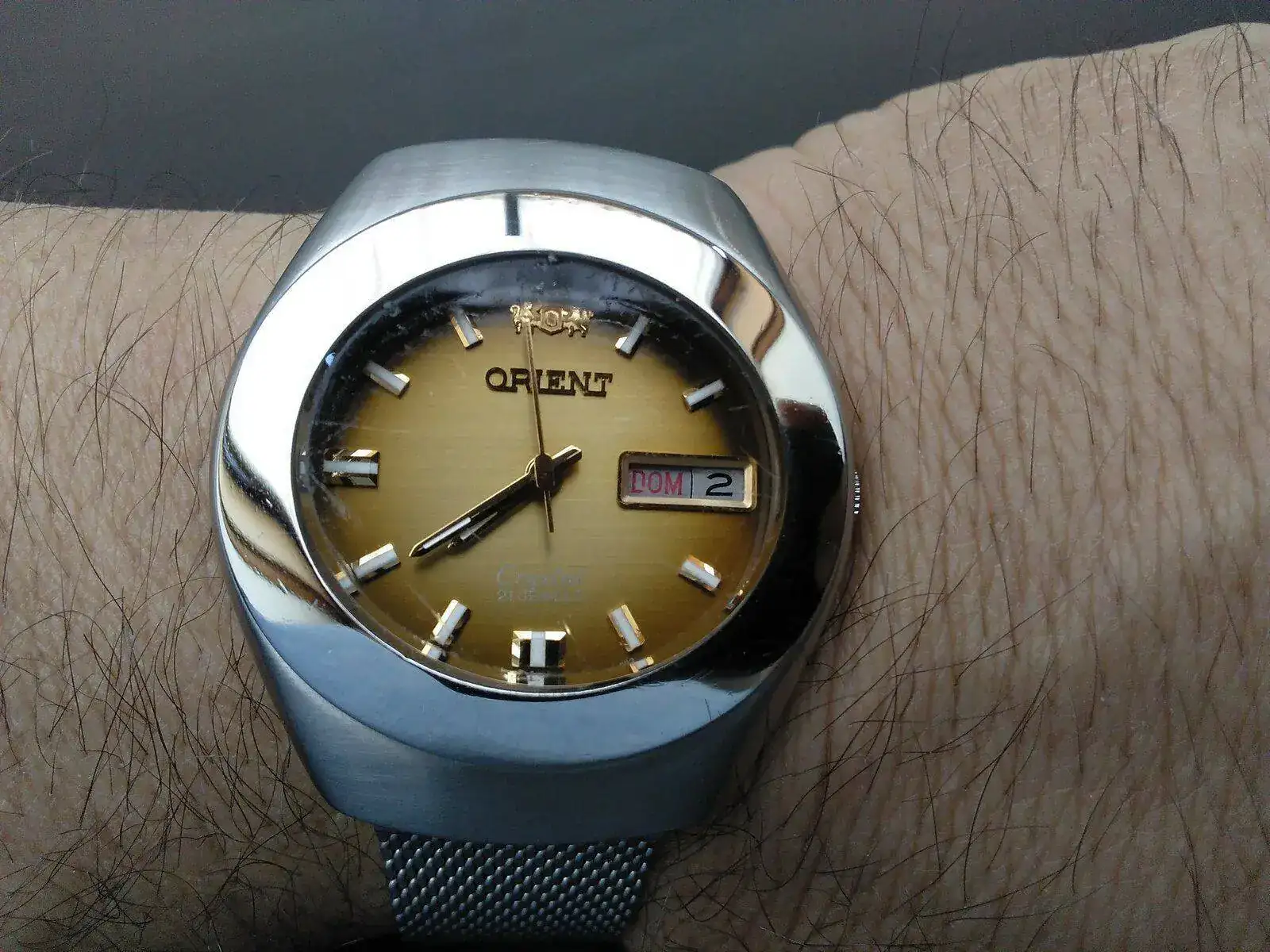 Orient Focus (86).webp